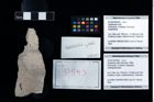 Foto (Objekt + Etikett) von Galatheites zitteli (Moericke, 1889)  (NHMW-GEO-2014-0194-0593)